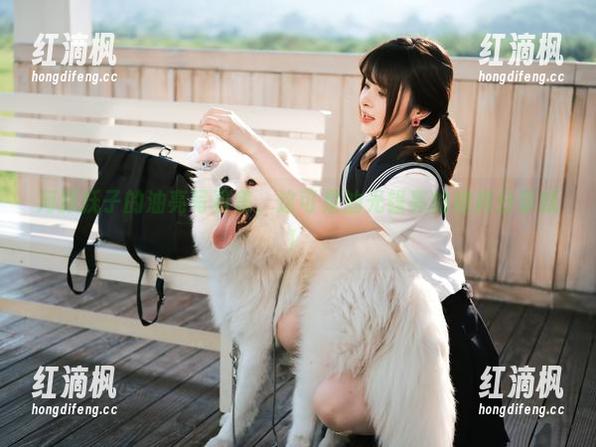 河豚抚子的油亮写真集，这可是油光锃亮的榜样分享哦！