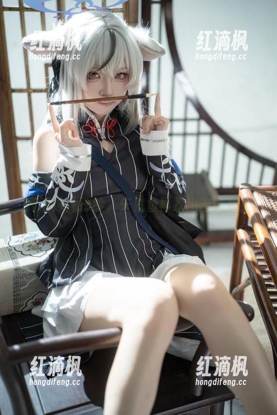 高清泳池探险，矢量鱼再次出击合集！